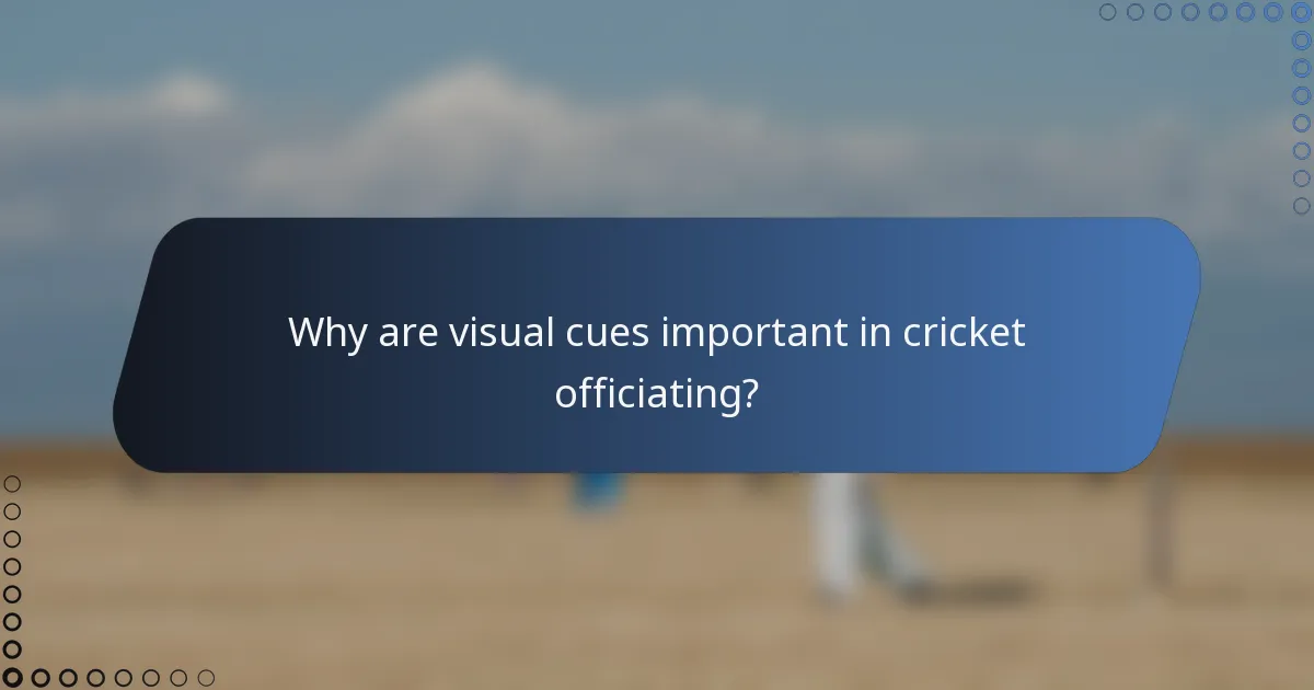 Why are visual cues important in cricket officiating?
